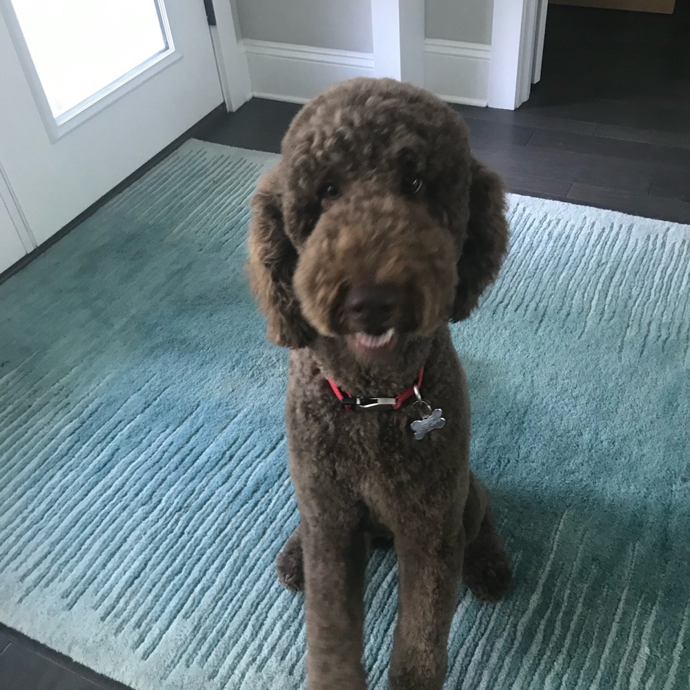 Meet your Posher, Mary ann